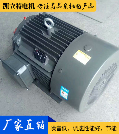 YE2/Y2/Y普通三相異步電動機